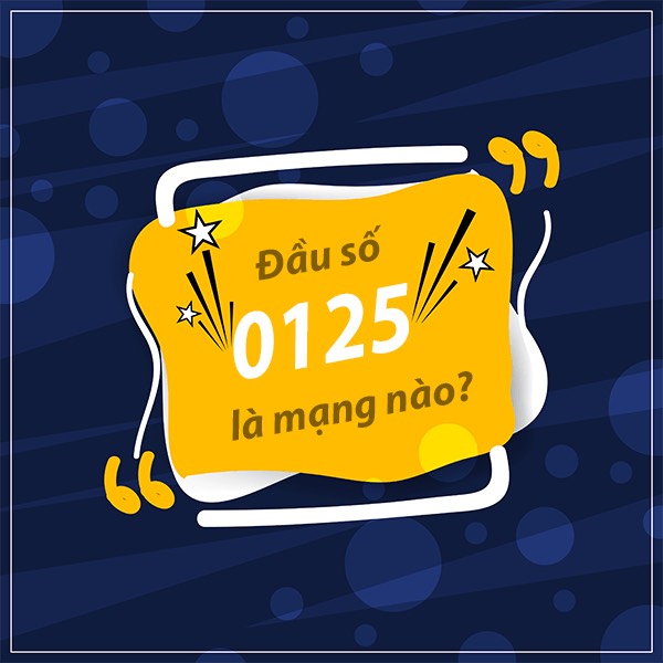 Đầu số 0125 đổi thành gì? Đầu số 0125 vinaphone đổi thành 1 Đầu số 0125 là mạng gì