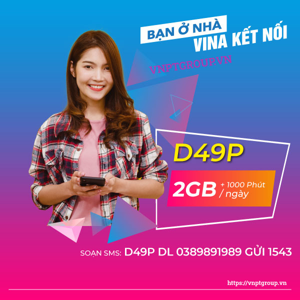 Gói D49P Vinaphone